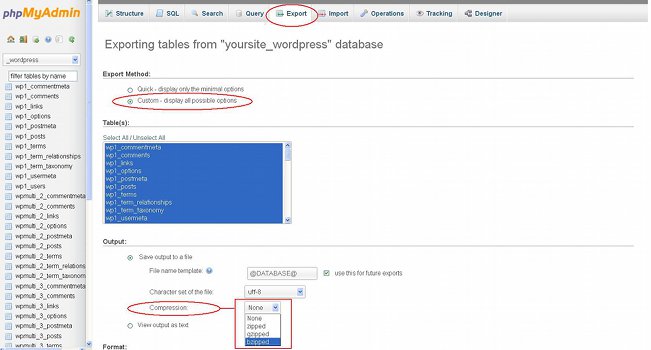 phpMyAdmin-Compressing the SQL Dump File