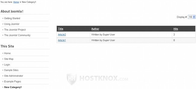 Frontend Articles In Category List Table