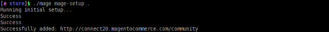 Magento mage setup