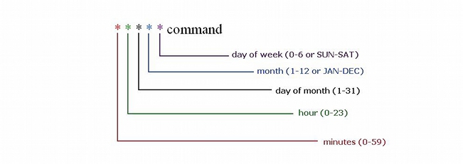 Cron Expression