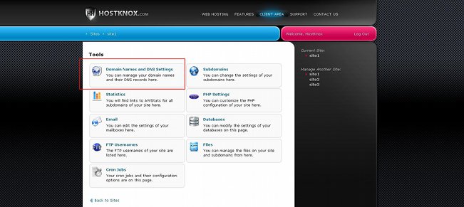 Accessing the Domain Names and DNS Settings Section