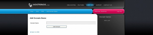 Form for Adding a Domain Name