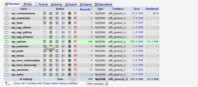 WordPress Database Table