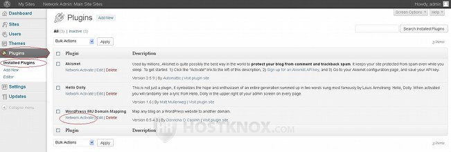 Network Admin Panel-Network Activating the Domain Mapping Plugin