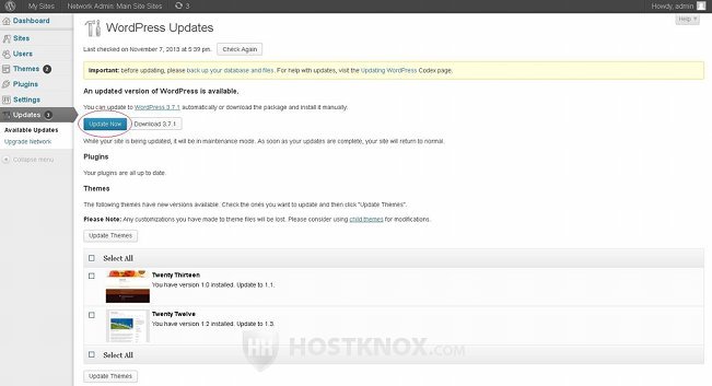 Network Admin Panel-Upgrading WordPress