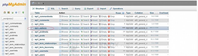 phpMyAdmin-Opening the wp_options Table