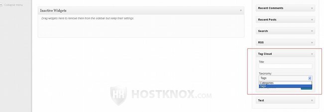 Widget Settings-Tag Cloud Widget